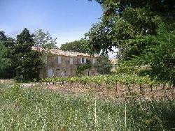 Gîtes en camargue dans ancien domaine viticole