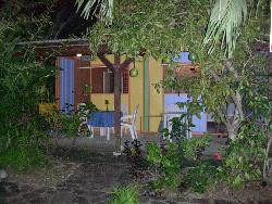 PLONGEZ DANS LA RESERVE COUSTEAU + mer des Caraîbes!