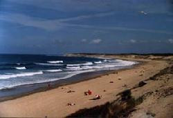 maison neuve sur 1500m² de terrain arboré proche soulac