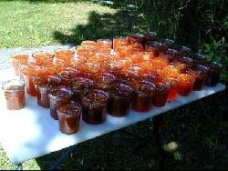Dans un Mas de caractère, chambres d'hôtes et suite de charme à 10 kms d'Avignon et de St Rémy de Provence sur un terrain arboré de 2 hectares et demi avec une belle piscine.