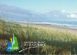 LACANAU OCEAN T2 PISCINE SOUS LES PINS