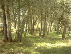 Gite-piscine AMBRUSSUM