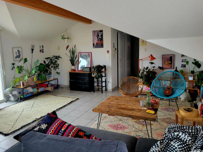 chambre dans appartement