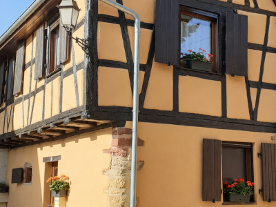 Coup de cœur en Alsace, proche Colmar et sur la route des Vins : Gîte de la Muse et son jardin