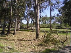 Location maison en corse a 500m des plages