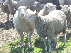 gites et chambres d'hotes du croas-hent