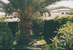 TORREVIEJA (Sud Alicante) Maison 6 couchages