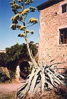 Gîte dans l'ancien cloître Blancards