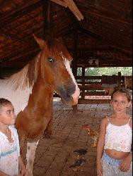 Venez découvrir le Brésil de l'intérieur