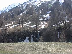 FOUX D'ALLOS(1800M.)