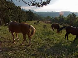 La Métairie d'en Bor