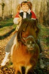 Gîtes avec piscine et toutes les activités offert