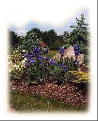 vacances à la campagne