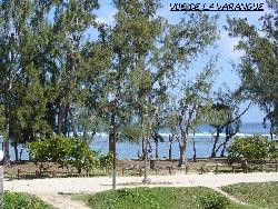 LES PIEDS DANS L' EAU A St. GILLES LES BAINS
