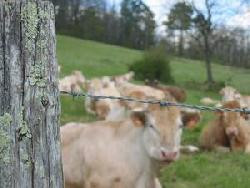 Charmant gîte en Dordogne avec piscine privée.