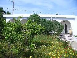 villa de charme hammamet avec jardin 200m de la mer