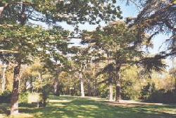 Château de Saint Michel de Lanès