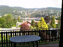 CHALET VU ET BORD LAC GERARDMER