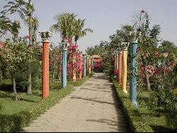 Location villa saly senegal