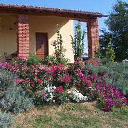 Il Passo degli Ulivi - Agritourisme en Toscane