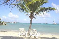 BAYA STUDIO 2 PERSONNES PROCHE PLAGES ET COMMERCES A SAINT-FRANCOIS