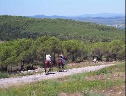 Maison meublée pour les vacances Montpellier, Vacances dans l'hérault en méditérannée