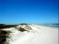 LOUE CHAMBRE chez l'habitant - LE CAP (AFRIQUE DU SUD)