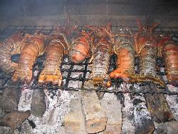 Tigligli - Location bungalows Guadeloupe