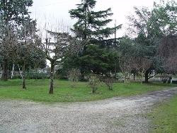 MAISON MEUBLEE ENTRE BORDEAUX ET SAINT EMILION