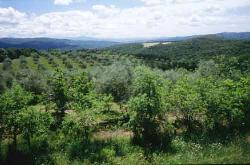 Ferme Il Focolare