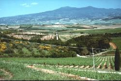 Toscane, Montalcino, maison dans charmant hameau </p>