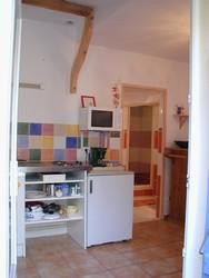 Le Palmier à Nîmes