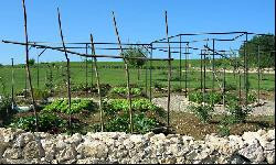 Le Hameau des Coquelicots, gîtes et chambres d'hôtes de charme.