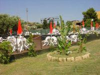 1°Camping VAlle dei Templi
