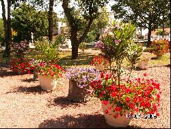 Appartements meublés à Carcans-Maubuisson à proximité du plus grand lac de France