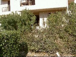 F2 CANET PLAGE, 4 P, jardin,parking fermé, soleil, calme.