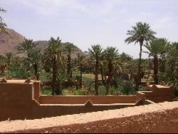 TERRITOIRES SUD maison d'hôtes dans le sud marocain