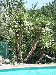 Dans Pays Cathare grande maison de caractère pour amoureux des vieilles pierres.