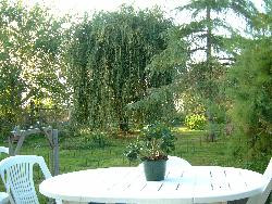 location sud finistère , tourne ici , treogat