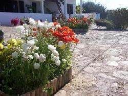 Locations-Vacances-Portugal. <algarve chez alex