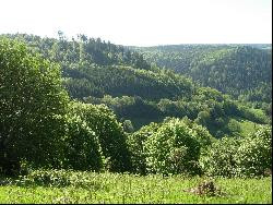 location chalet montagne vosges pêche rando vtt ski chasse nature repos calme équitation