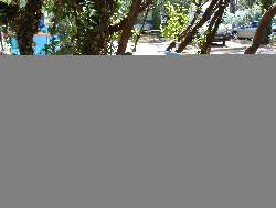 loue caravane 4 - 6 places tout confort 800m de la mer a Messanges (40)