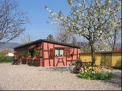 Au Coeur des Vignes en Alsace