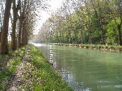 Le Pêcher - Domaine Les Messauts