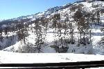 STUDIO . LA FOUX D' ALLOS (1800 M.)