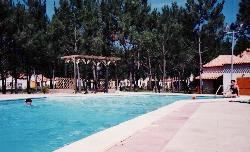La PALMYRE ( Prés ROYAN )