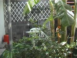 2/4 personnes - 2 pièces tout confort - St Leu : ouest de l'île - central pour excursions