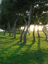 MIRADOR DEL MEDITERRANEO " Resimed "