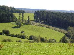 Ardennes belges : maison de vacances tout confort (12-18 p) proche de Bouillon