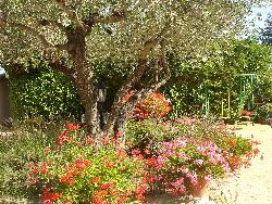 Gite dans domaine aux portes d Uzés piscine wifi /Pont du Gard